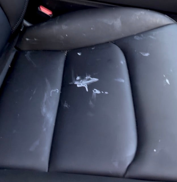 All-Purpose Cleaner — EV-Safe Formula